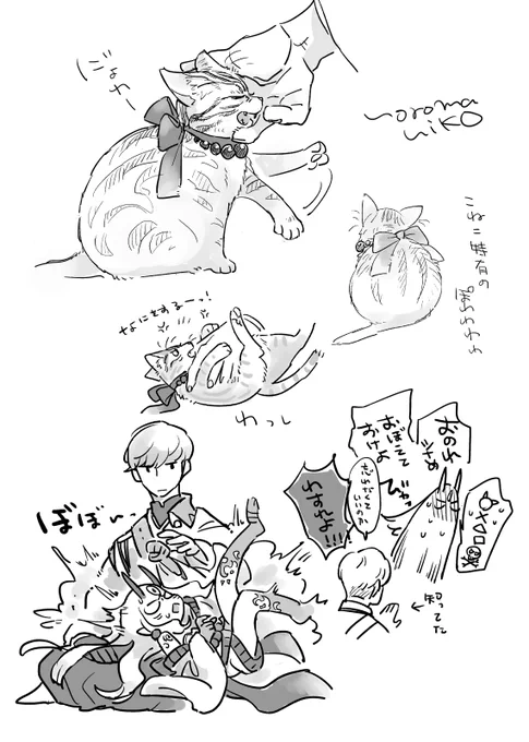 綱茨チャン
https://t.co/SYqB3yJNgB 