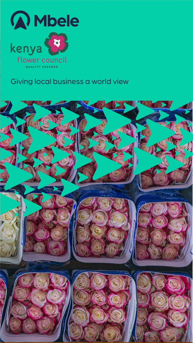 MbeleFx's tweet photo. Mbele FX Ltd is now a proud partner of the @KenyaFlower Council! Horticulture is one of Kenya's most successful industries. They export worldwide &amp; we look forward to supporting local growers and businesses to expand their trade. #roses #kenya #trade https://t.co/YabpLP273R