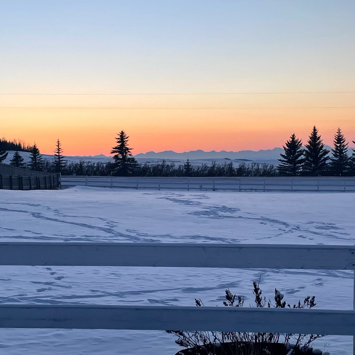 I thought I’d share a picture of yesterday evening’s peach coloured skies. Have a great day everyone! 🧡 #albertaskies