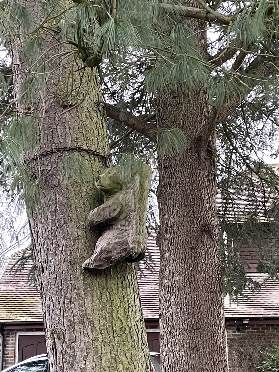 clarewilks_74's tweet photo. Todays photos. Random Bears 🐻 in someone’s garden 🪴 ❤️ #holybourne #Hampshire https://t.co/ozRl3TRMHq