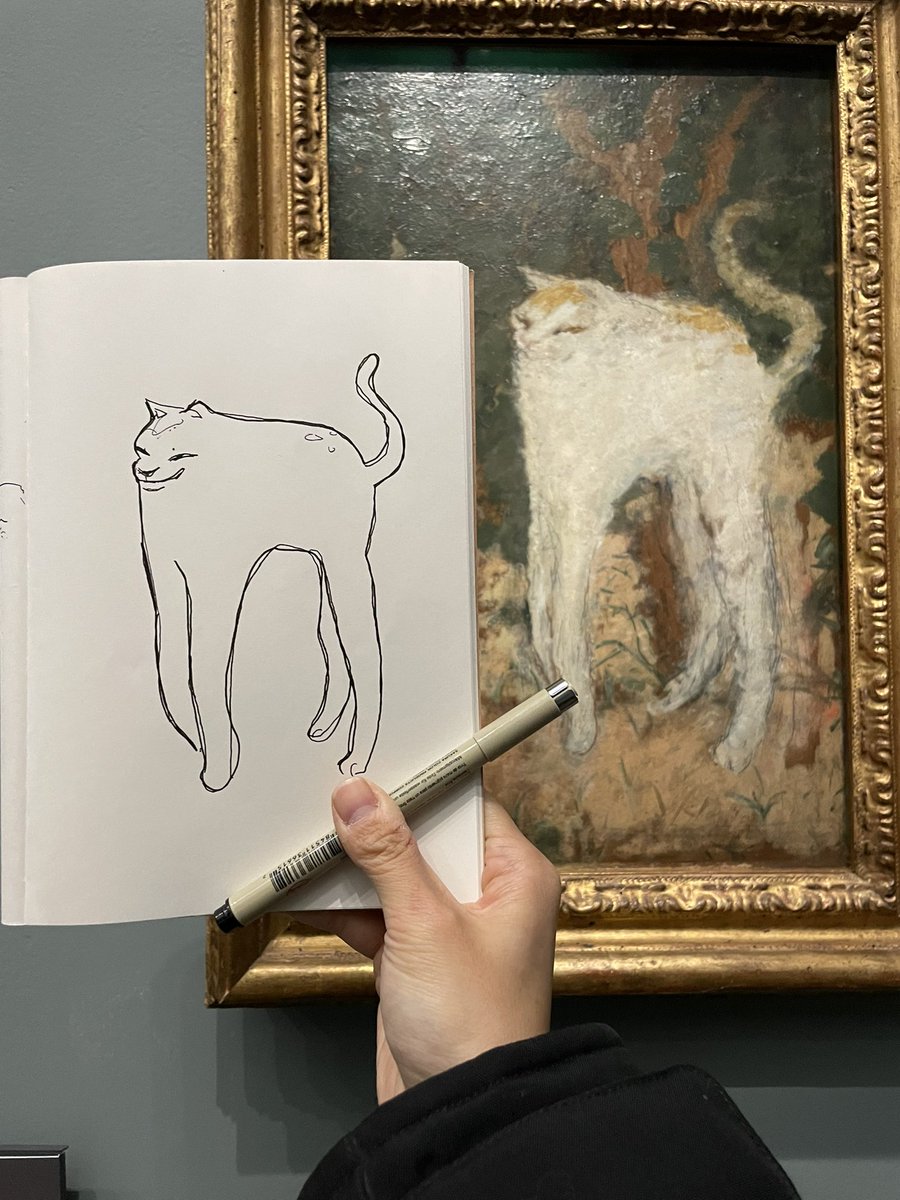 afternoon master studies