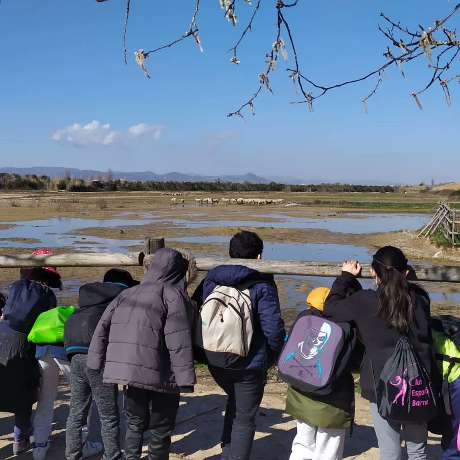 Escola Roser Capdevila tweet media