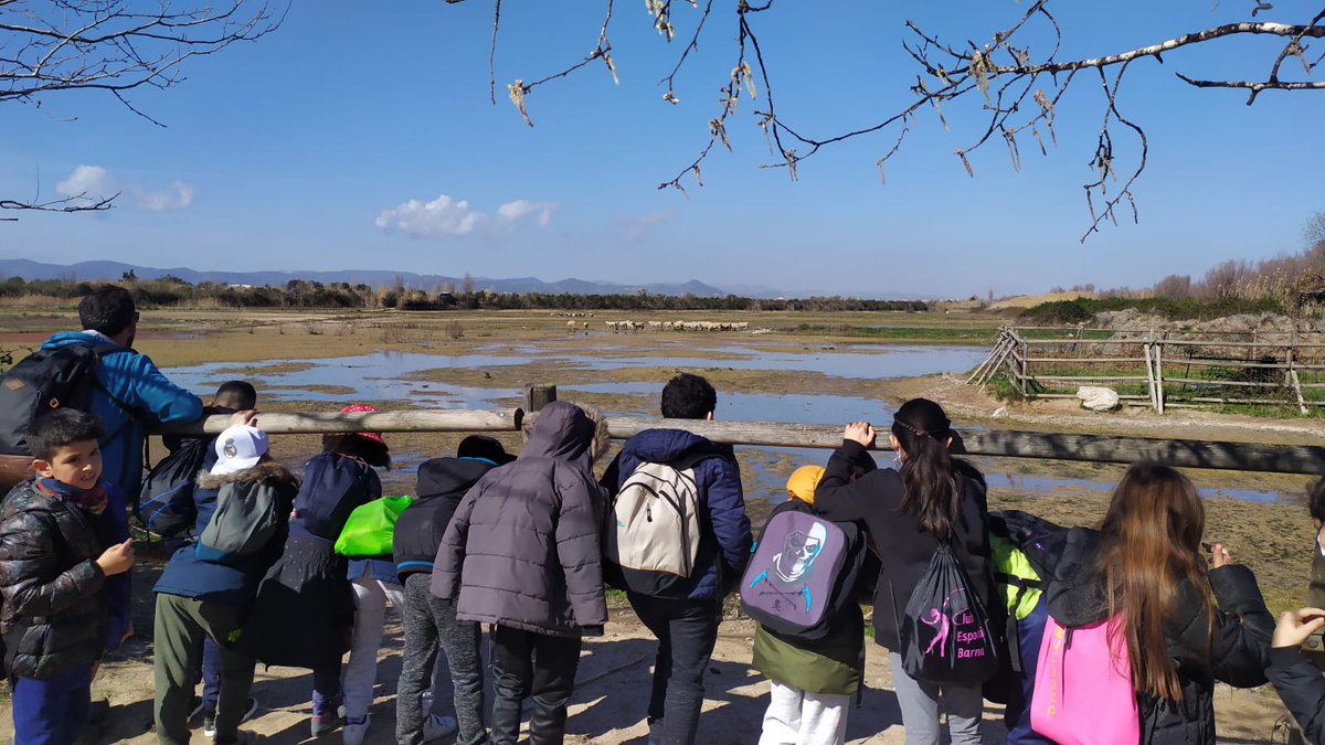 Escola Roser Capdevila tweet media