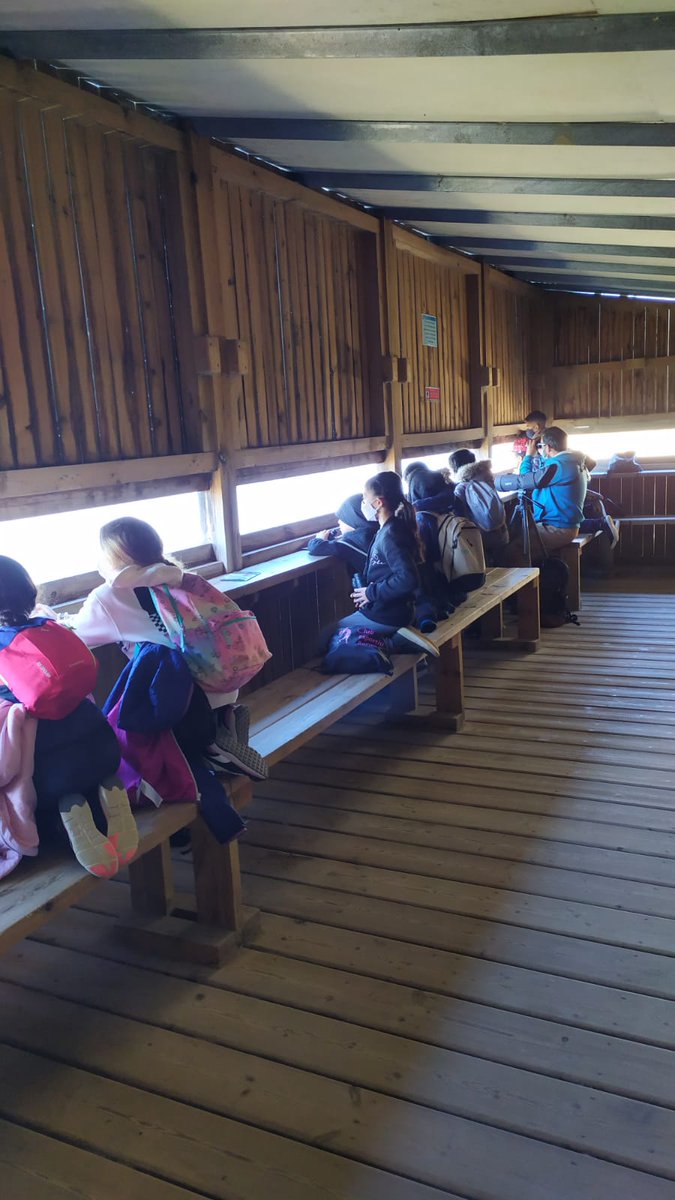 Escola Roser Capdevila tweet media