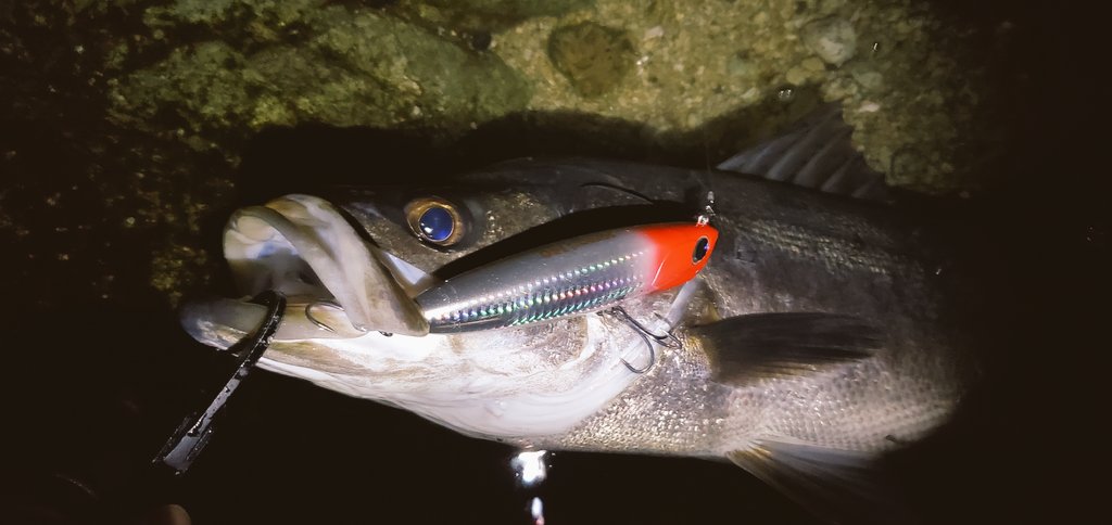 シーバスルアーラボ Seabasslurelab Twitter