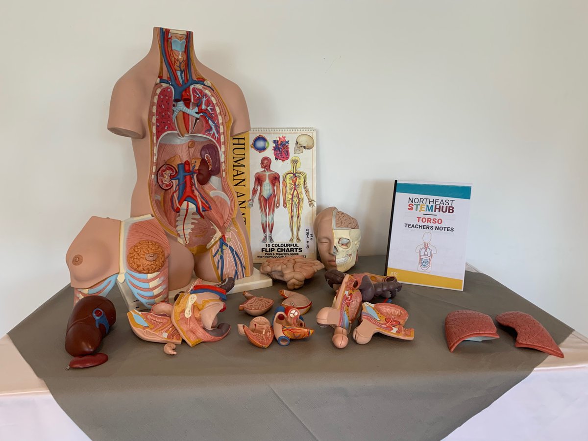 rtcstem's tweet photo. STEM Ambassadors, Would you like to volunteer in Primary schools but stuck what to do? Never fear help is here! We have a vast range kits for you to loan to both educate and have fun with the students. Please click below for a list and further information.
https://t.co/1PmEVU6UJY https://t.co/YyKS4c674B