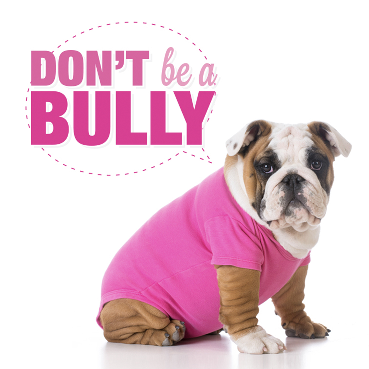 OntarioSPCA's tweet photo. Today, we recognize #PinkShirtDay, where we encourage kindness and stop bullying 💗 https://t.co/Np6XIWN8KI