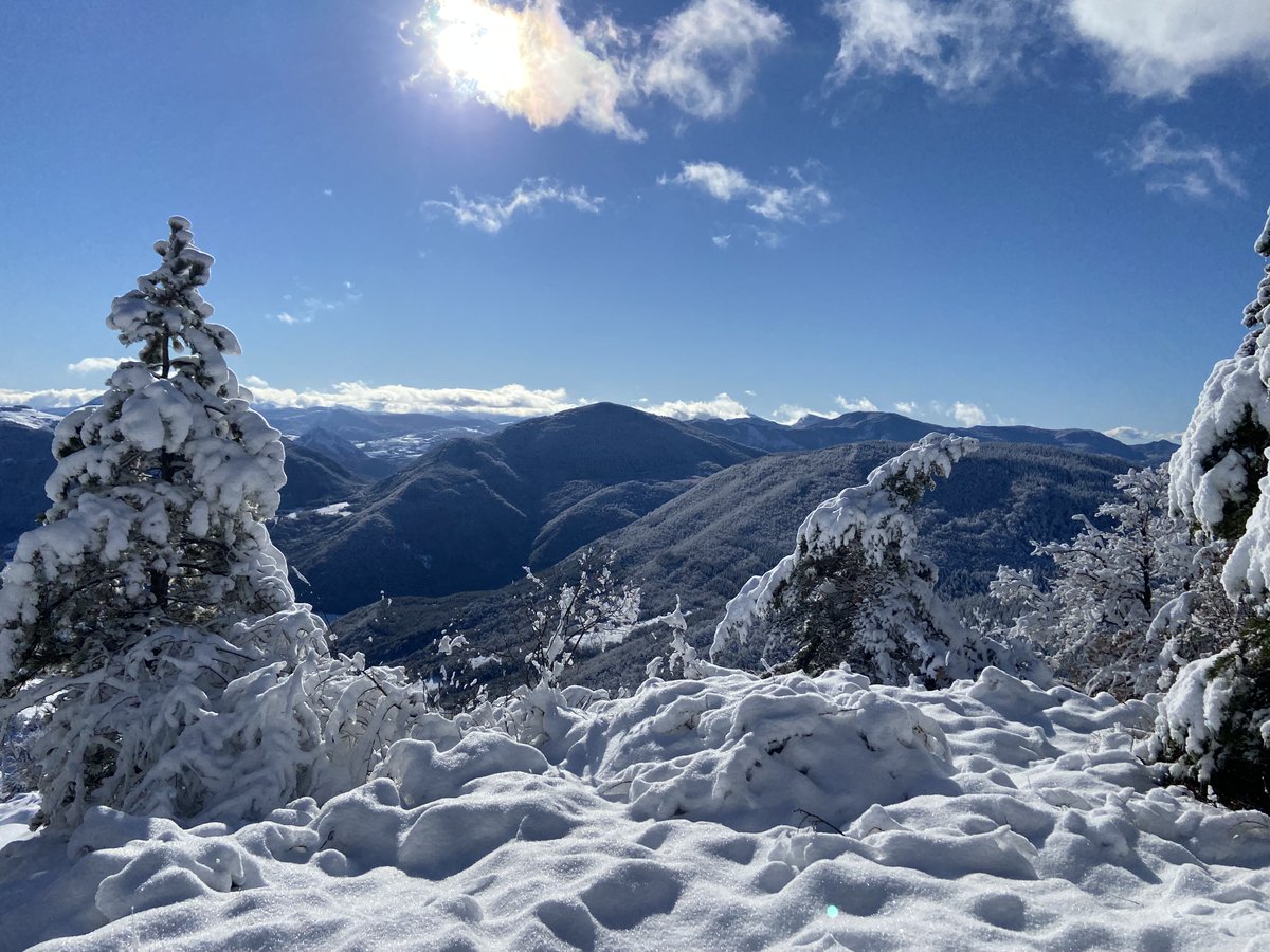 Last minute availability for March! Come and join us  😁❄❄❄ - mailchi.mp/a5c2ff243b27/b…