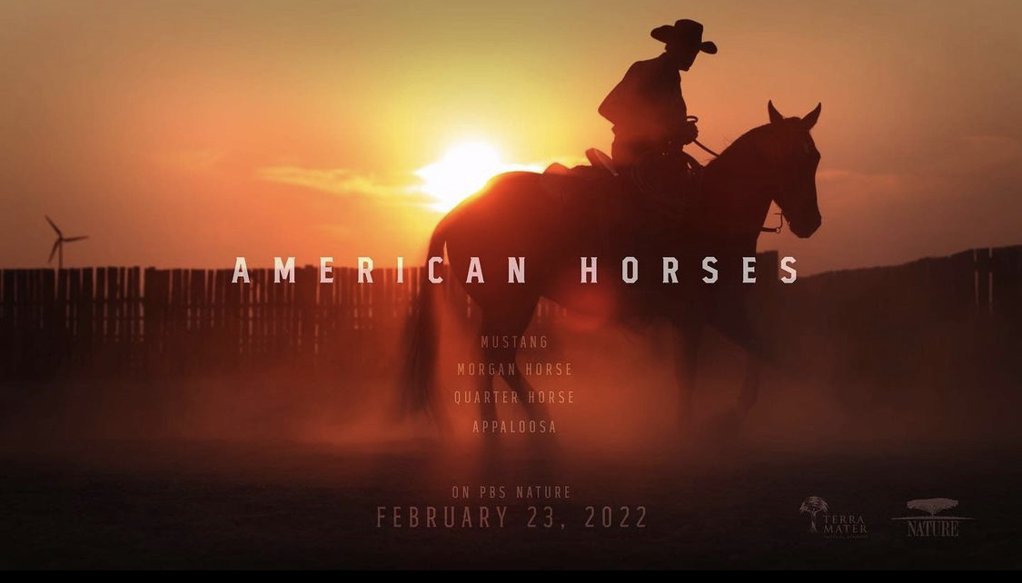 ImagesInSound's tweet photo. Grab the popcorn and tune in to PBS Nature tonight for the premiere of American Horses! 🍿🐎

@PBSNature @grizzlycrkfilms 
#horses #americanhorses #postproduction #audio #PBSNature #imagesinsound #sound https://t.co/CRAqqh4Ut9