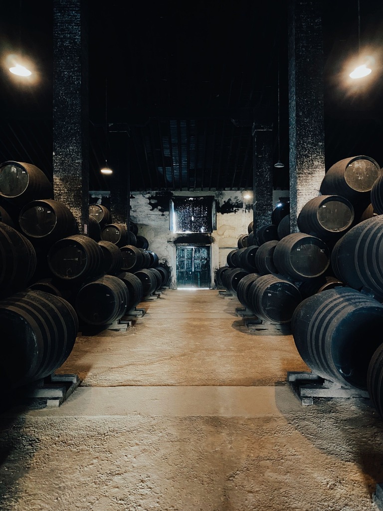 VinosJerez's tweet photo. https://t.co/w1BwvuVEOJ