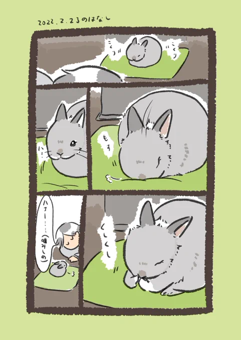 今日のrabbit…
#うさぎのいる生活 