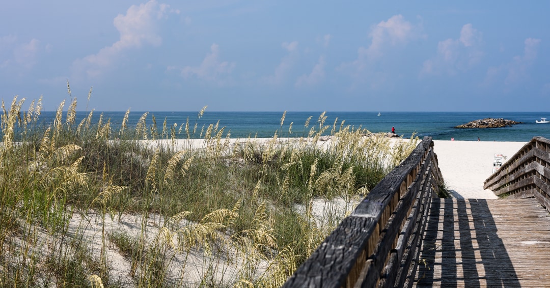 Use the provided walkways and boardwalks to get down to the beach! 

#leaveonlyfootprints #cleanisland #loflifestyle #gulfcoast #gulf #coast #gulfshores #orangebeach #beach #alabamabeaches #alabamacoast #cleancoast #ecofriendly #cleanbeach