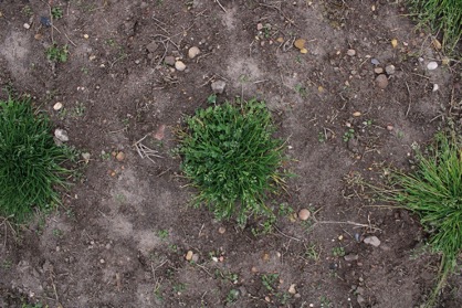 Matthew Kutugata tweet media