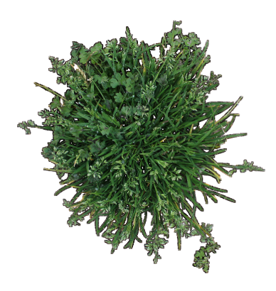 Matthew Kutugata tweet media