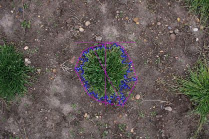 Matthew Kutugata tweet media