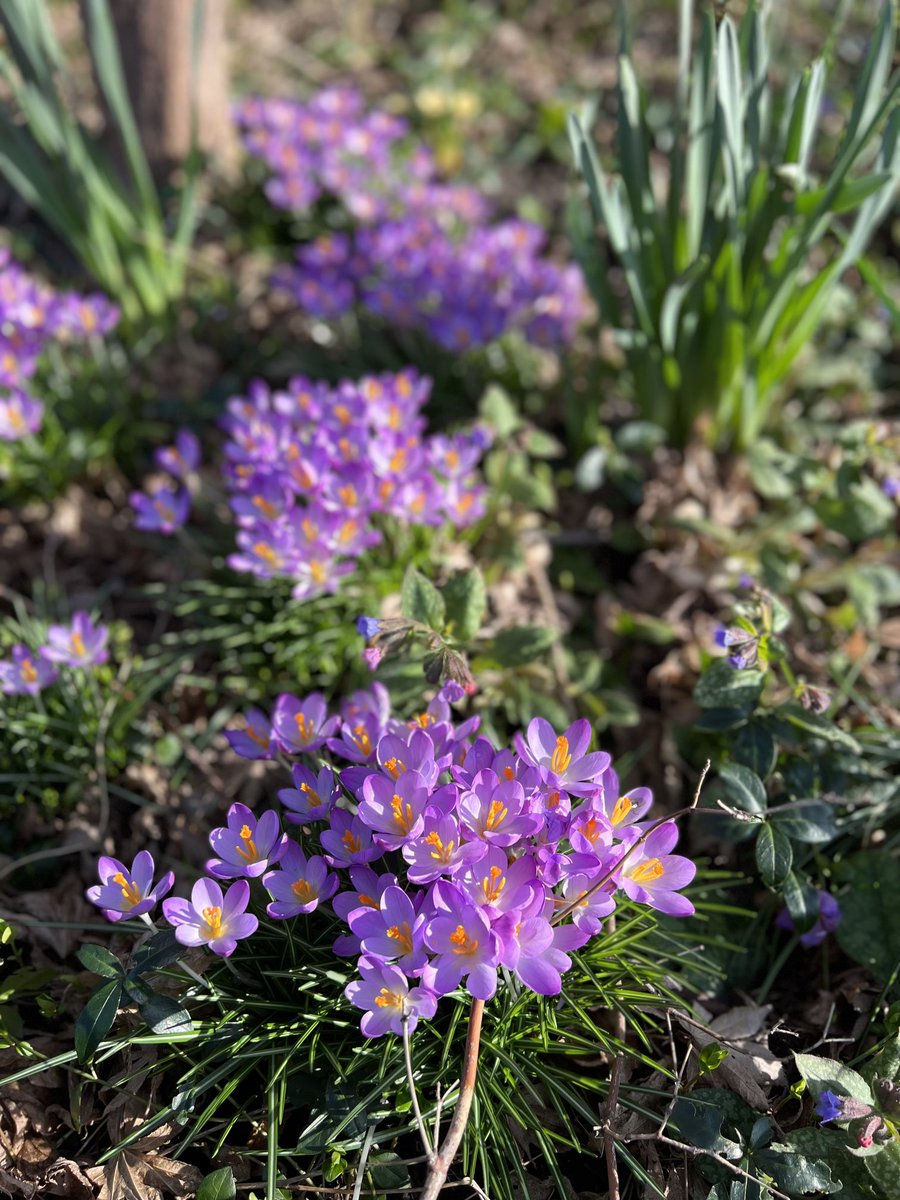 Marcel Hoefs tweet media