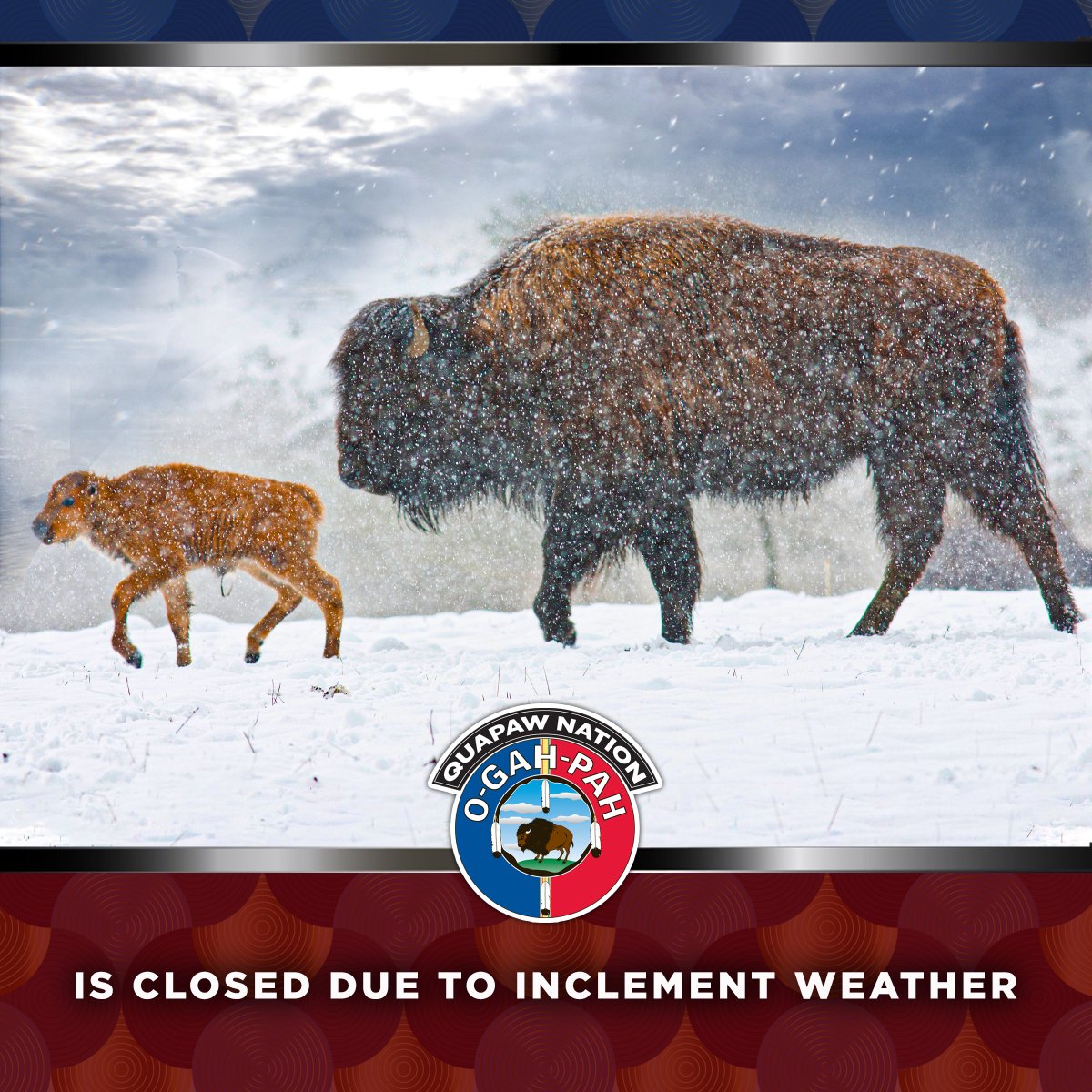 Quapaw Nation Title VI is closed today, Wednesday, February 23, 2022, due to inclement weather. No meals will be served, stay safe. ❄️❄️

#quapaw #quapawtribe #quapawnation #thequapawpost #weather