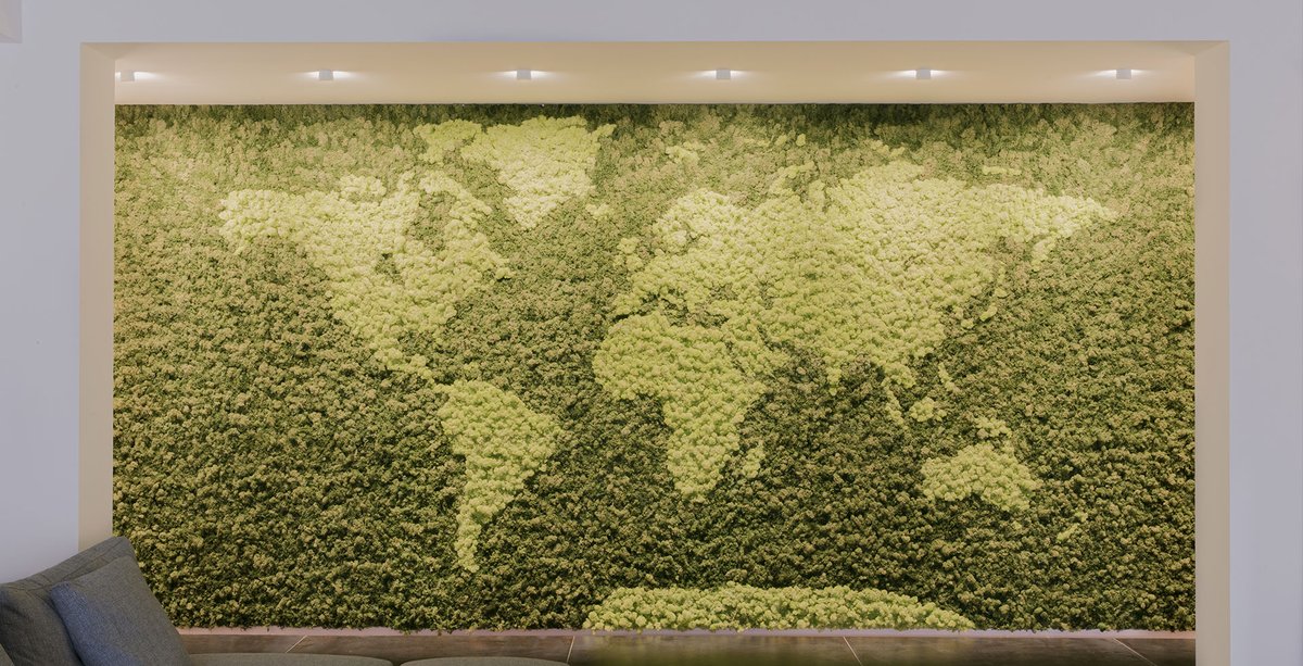 B_Light_Ita's tweet photo. OKKIO 60 WW is the perfect choice for our latest project, a beautiful villa in Sicily!

More pictures here: https://t.co/ASkY8Myj27
#wallwash #glarefree #luminaire #lightdesign https://t.co/MSgCSwZlCn