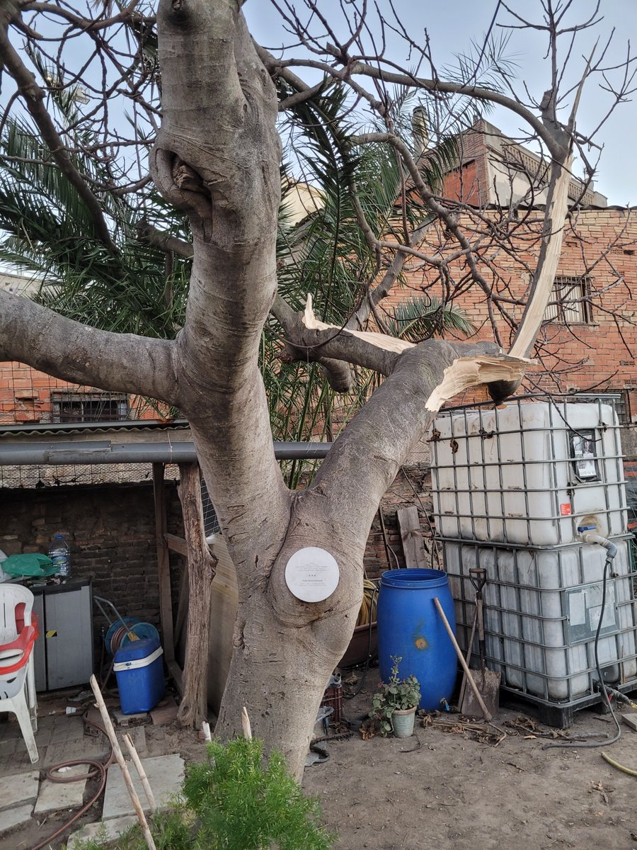 Johannes Langemeyer tweet media