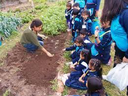 Johannes Langemeyer tweet media