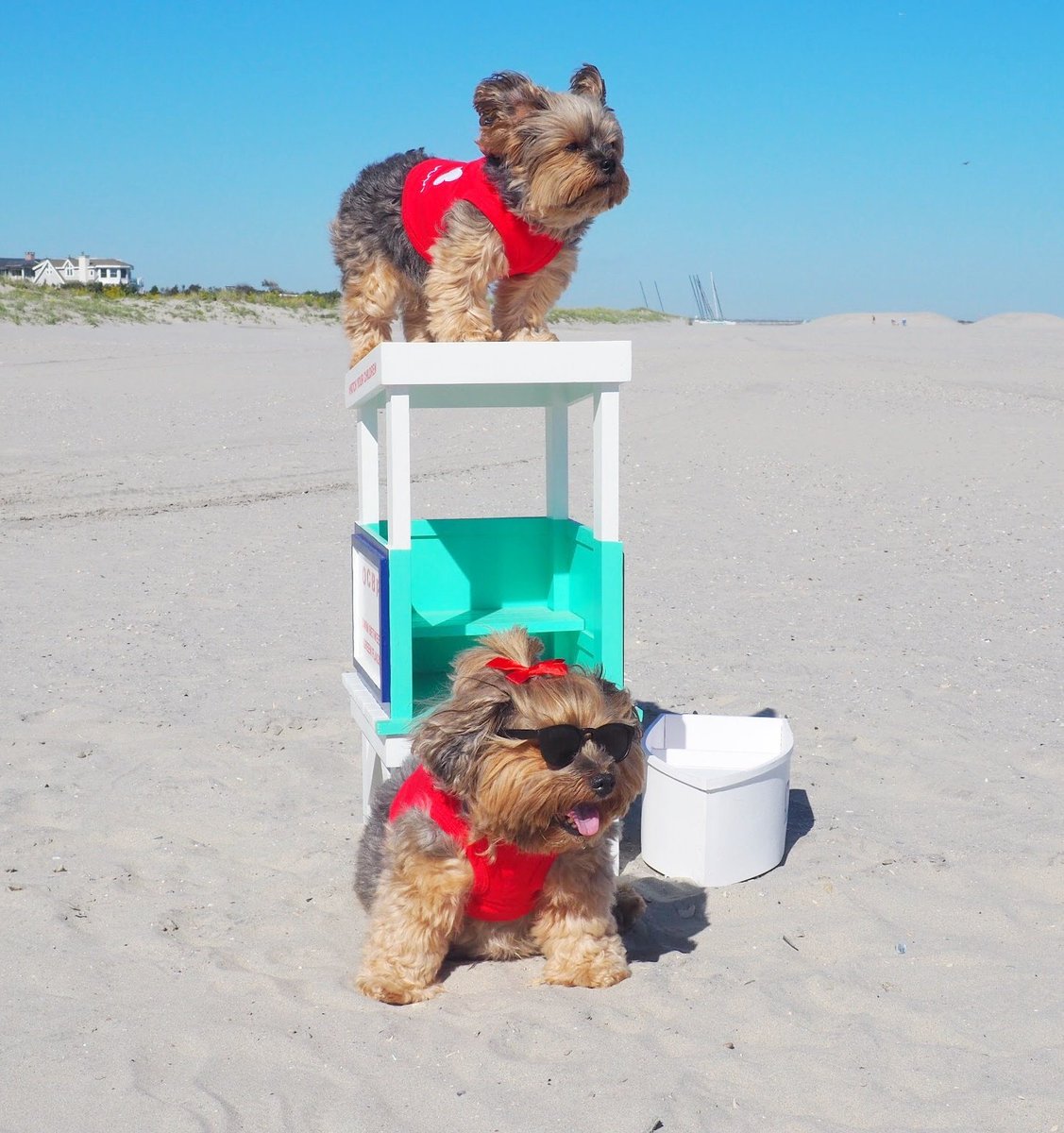 Saving lives and breaking hearts 🏖