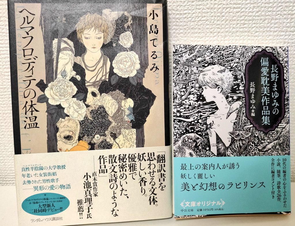 ヘルマフロディテの体温(小島てるみ)を古本で見つけたあと、長野まゆみ