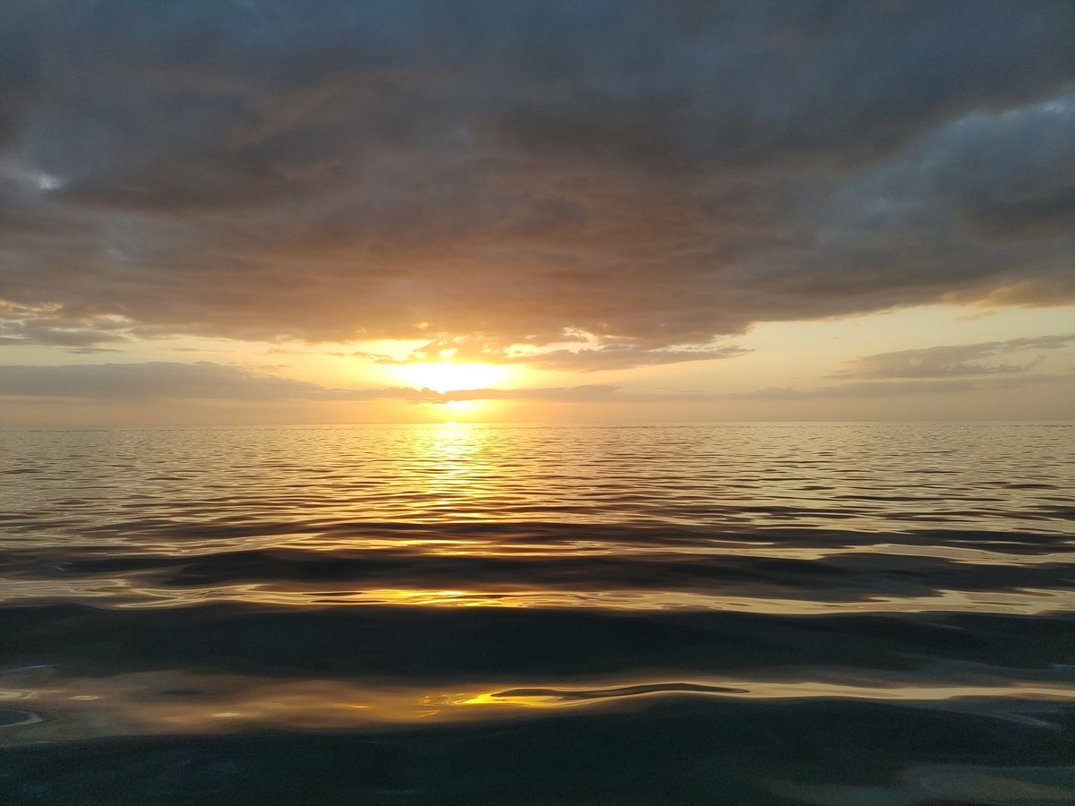 Gorgeous sunset, pubsubs, and an amazing cruise with Palmetto Elementarys very own, Mrs. Curran! It was exciting having Royalty on board Athena!! #GatorStrong @MrsCurranPLE