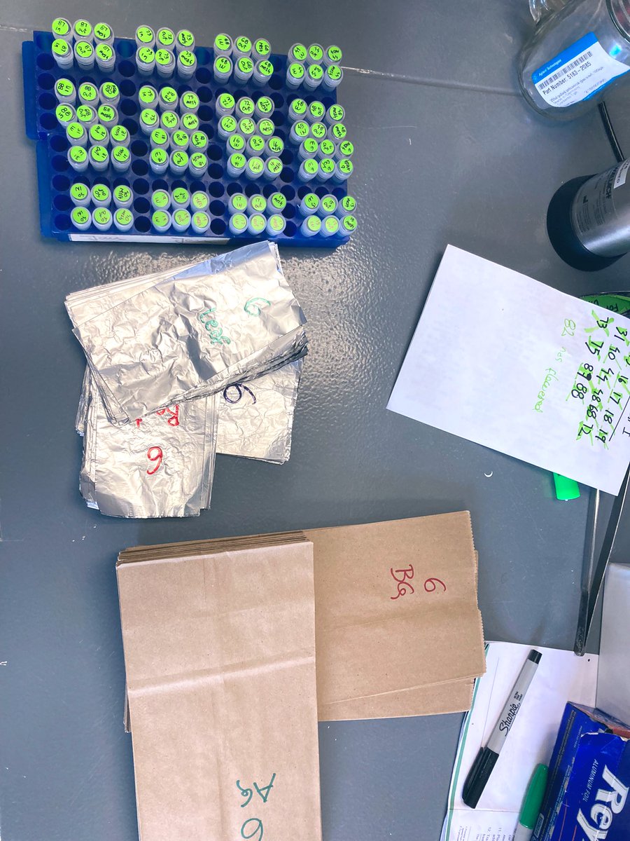 Many layers of complexity!