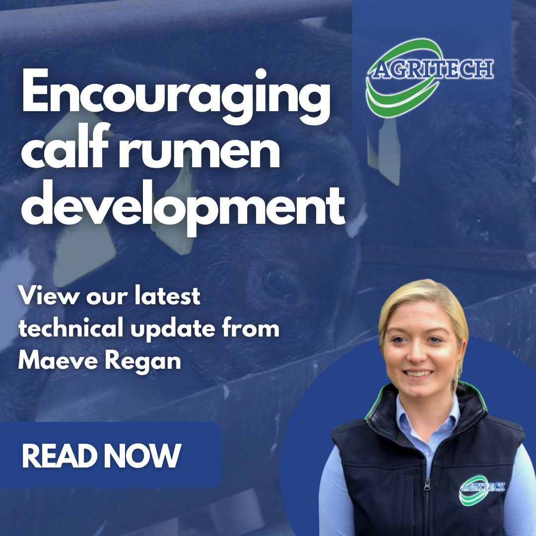 AgritechIreland's tweet image. Check out our advice for weaning calves this spring 👉 bit.ly/3rRn9Jg

#CalfRearing #Weaning #RumenDevelopment