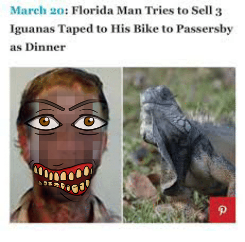 FloridaMan1845's tweet photo. You're gonna have to sell Iguanas by bicycle now if you want a FloridaMan1845 #NFT because they are ALL MINTED!!! You'll have to buy them on the secondary marketplace now! #SolanaNFTs #NFTCommunity https://t.co/pXyT5BkVuX