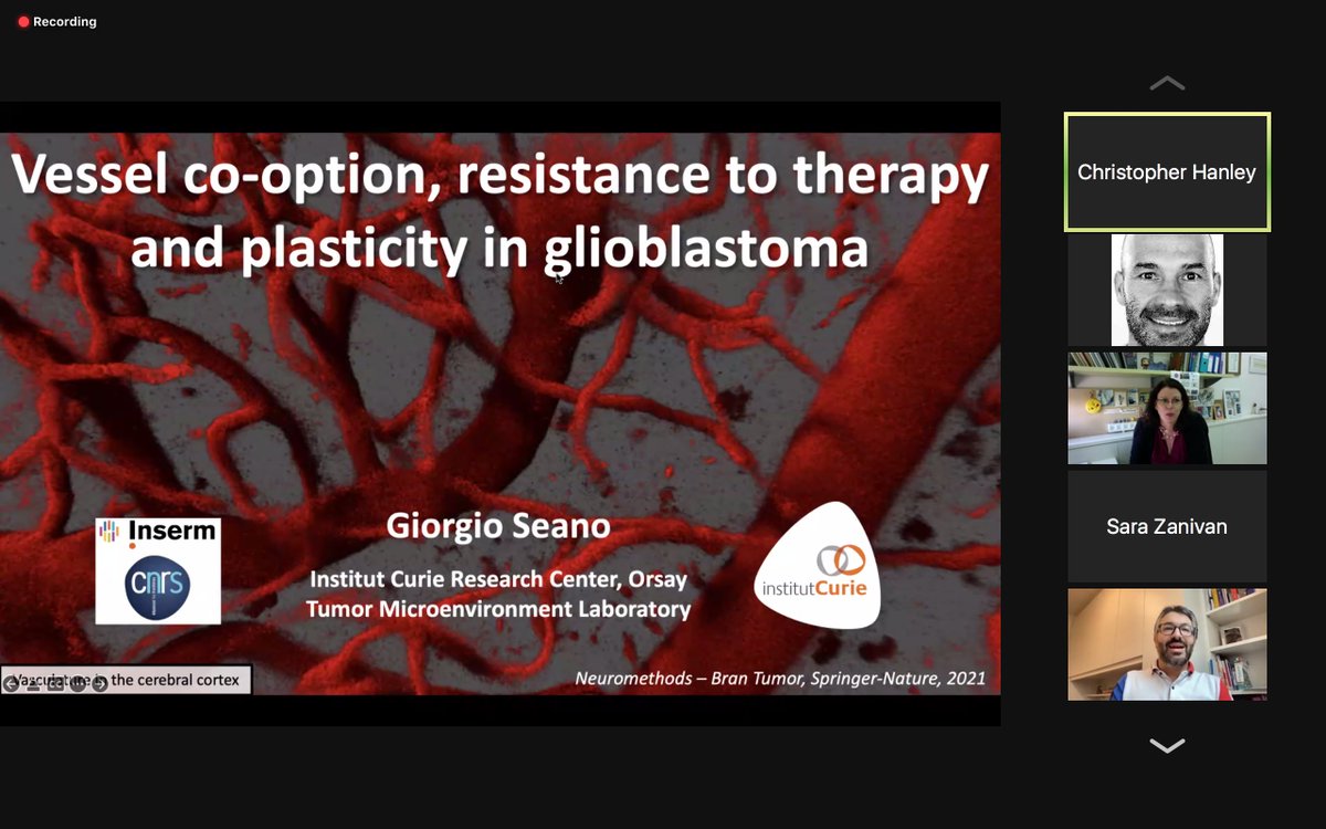 GoetzJacky's tweet photo. Very nice talk by @GiorgioSeano at our #EACRstructuralmicroenvironment @EACRnews meeting - blood vessel rock ! https://t.co/8uo9EtaGZu