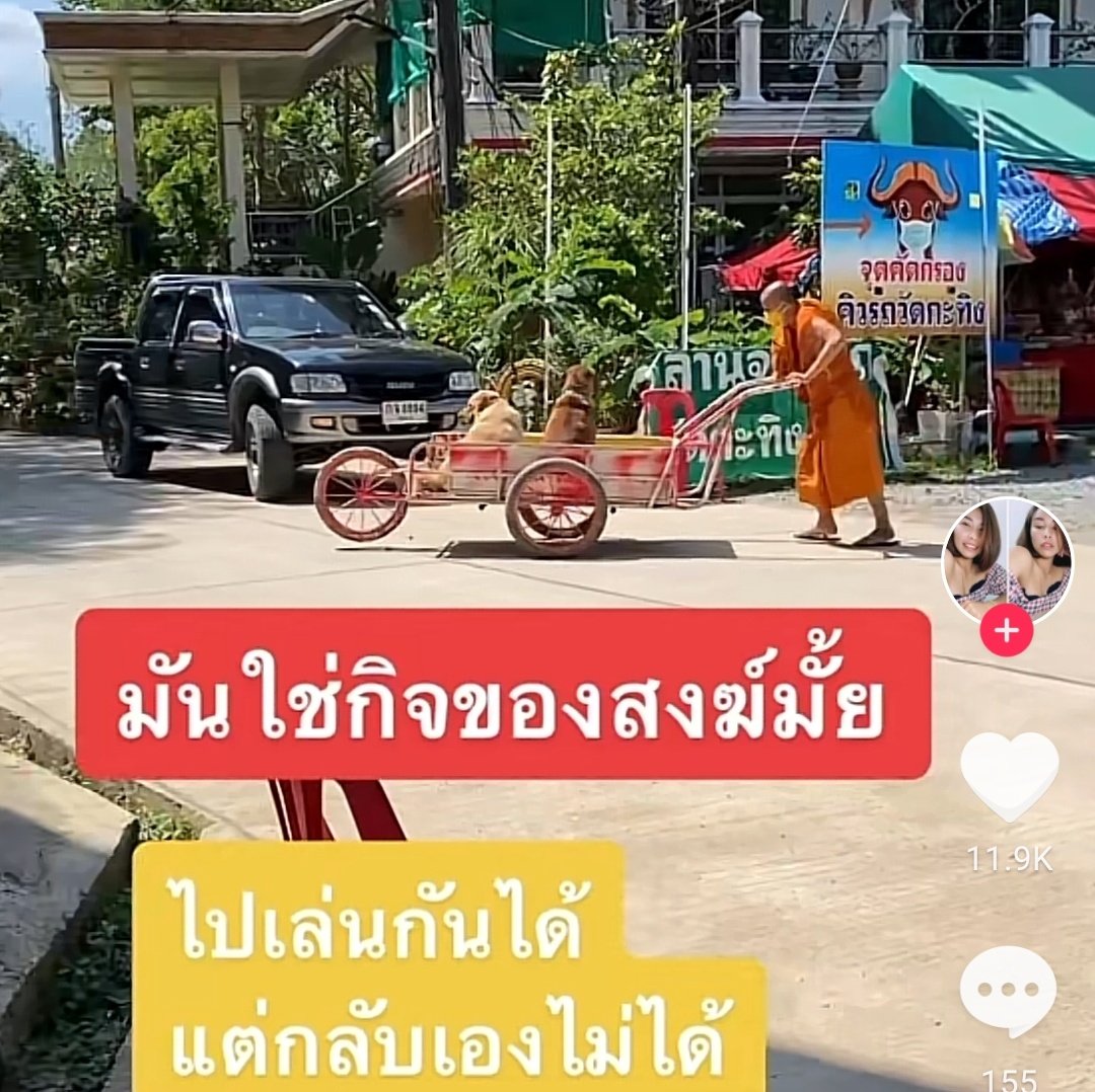 หมาแดงรับบทเป็นภาระให้พระลูกวัด