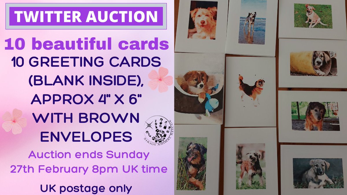 siriusanimalre1's tweet photo. 🐦 TWITTER AUCTION 🐦
We have 10 beautiful cards for Auction🌸
Featuring some #SiriusStarsAdopted
⭐@teddy_therescue
⭐Smarty @jorchardfarm
⭐@HopeForRonnie 🌈
⭐Jeff @MapleandJeff1
Please comment your bid against this post, starting @ £10
Ends 8pm Sun 27th Feb
UK postage only https://t.co/RFMwh5QOMh