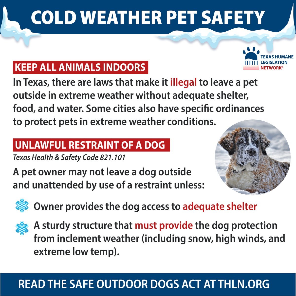 THLNTX's tweet photo. Temperatures are falling again this month, and we are currently under a ‘Winter Storm Advisory’. 🥶 Make sure you take the extra precautions to ensure your pets are safe and your outdoor dogs are in compliance with The #SafeOutdoorDogs Act. https://t.co/HBVZjN29g2