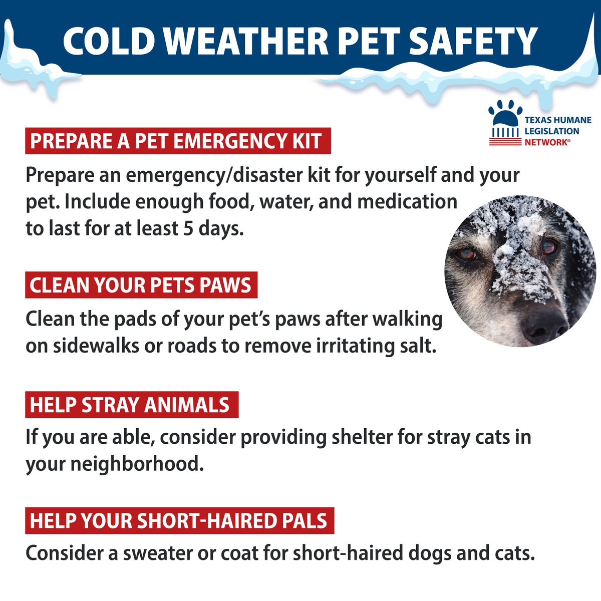 THLNTX's tweet photo. Temperatures are falling again this month, and we are currently under a ‘Winter Storm Advisory’. 🥶 Make sure you take the extra precautions to ensure your pets are safe and your outdoor dogs are in compliance with The #SafeOutdoorDogs Act. https://t.co/HBVZjN29g2