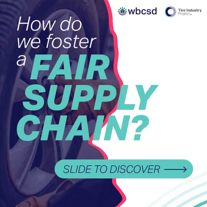 wbcsd_tip's tweet photo. Fostering a sustainable #supplychain is a tire sector priority🔗.

That's why the #SDGRoadmap aims to help implement #sustainable💚procurement practices &amp; establish environmental, social &amp; governance responsibilities throughout the supply chain

More👇! https://t.co/tGGunqpKKs