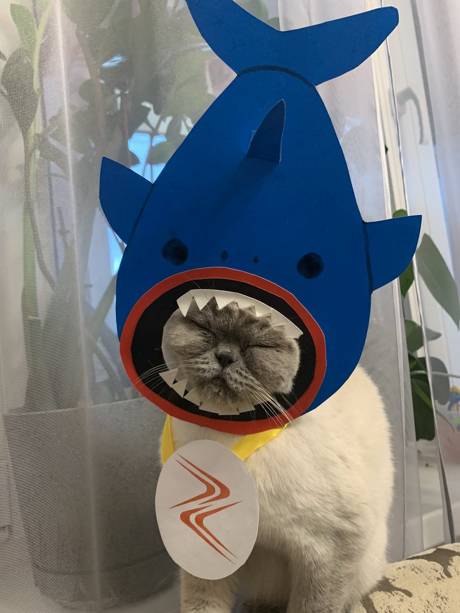 LSreberko's tweet image. Zunami is the most dangerous predator in the ocean of DeFi #zunami, #crypto, #ZEN