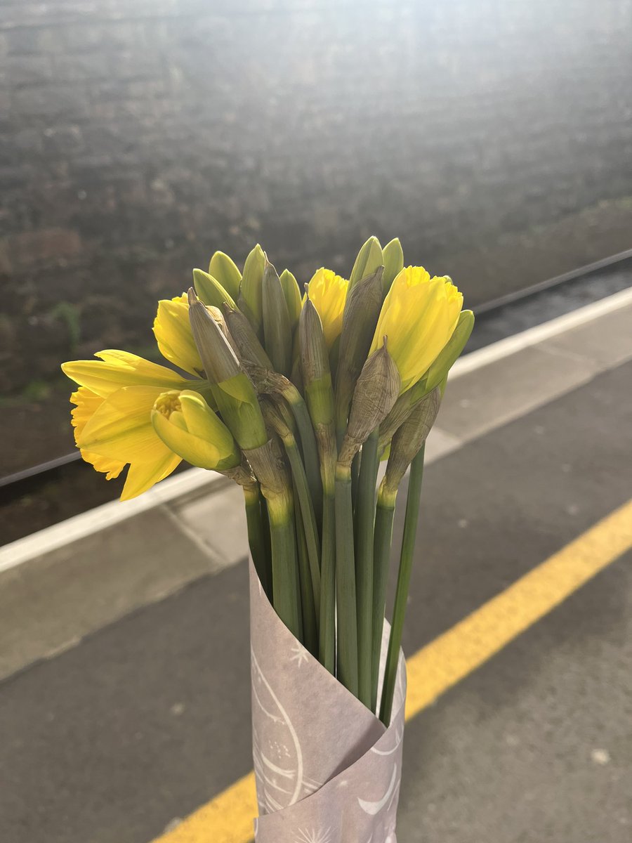 MyaPlumleyBeere's tweet photo. Just got 100% in my CITB Site Management Environmental Training Scheme exam !!(Bought myself some daffodils from the market to celebrate!)  @BeereGroup #SMETS #CITB https://t.co/l9ROagGxuW