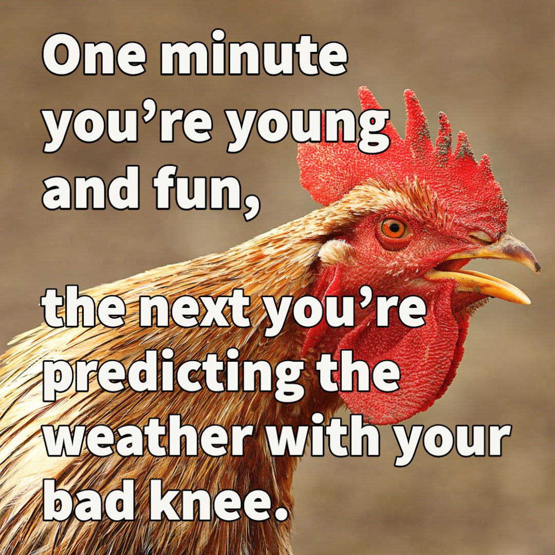 KBEYFM's tweet photo. Okay, well, who saw this coming? 😂
#kbey1039fm #weathermemes https://t.co/O1Q4ZJ5Vhn