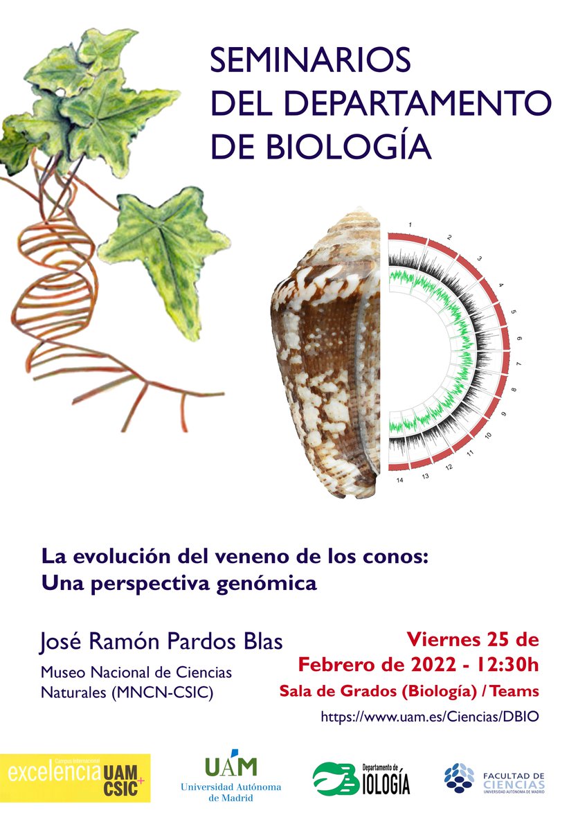 JoserraPB's tweet photo. Si os gustaría saber sobre la evolución del veneno de los caracoles cono 🐚, el próximo viernes 25 de febrero estaré presentando en la UAM de Madrid un seminario sobre ello. DM para el link de la charla.@biologia_uam https://t.co/JPr4iHmUvP
