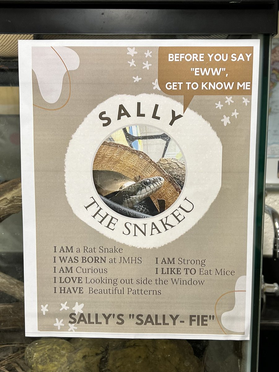 wendi322's tweet image. My students made a “Sally-fie” for our snake Sally! #classroompets #explorerclassroom #snakes