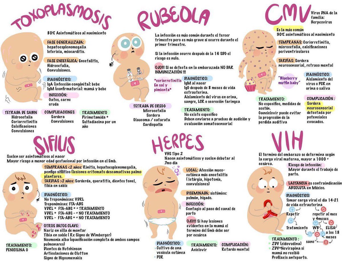 adanbagar25's tweet photo. #Pediatrics #ENARM  un repaso https://t.co/clFhVymkiv
