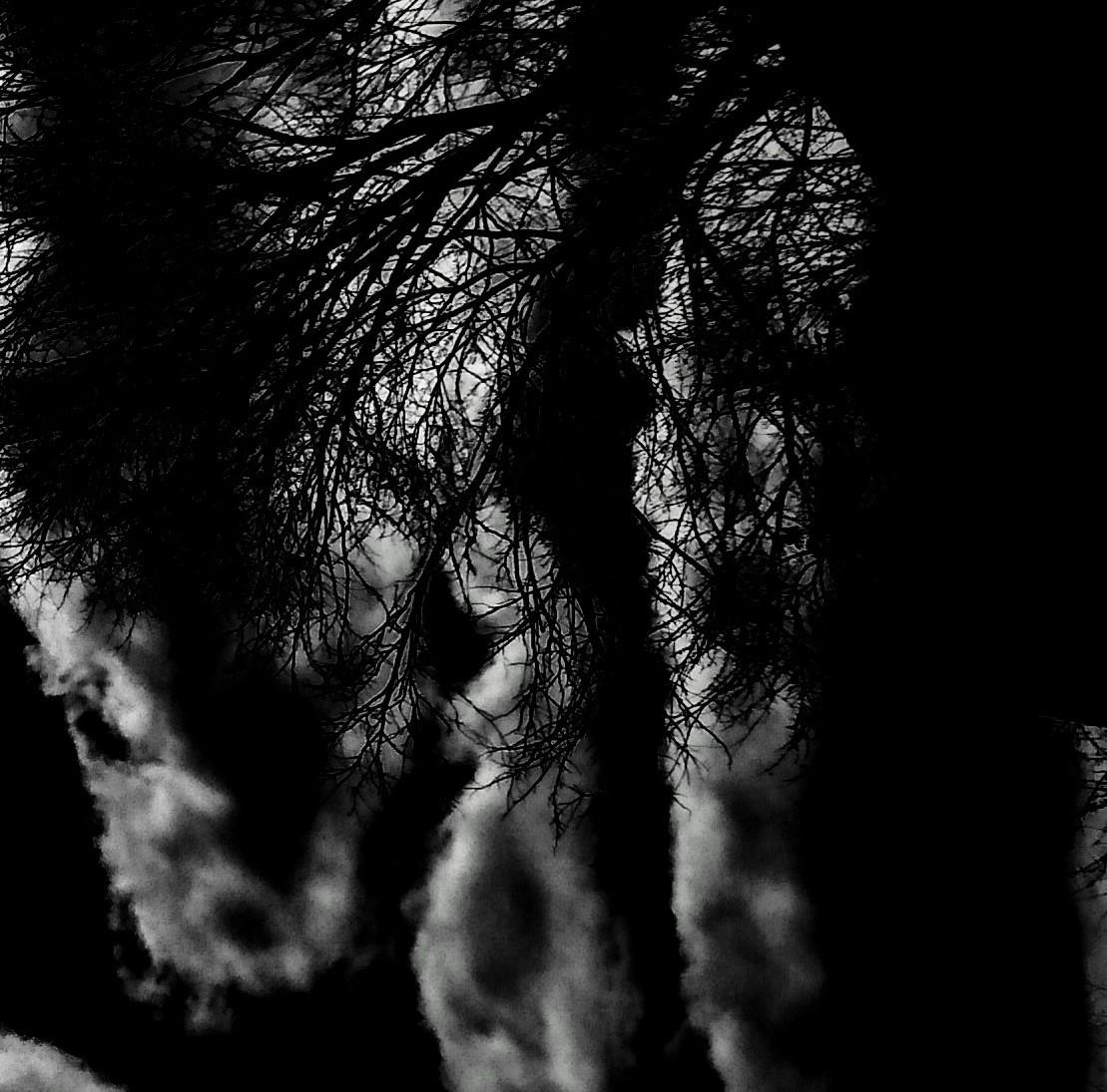 Eric Thomas (@ericthomast19) on Twitter photo 