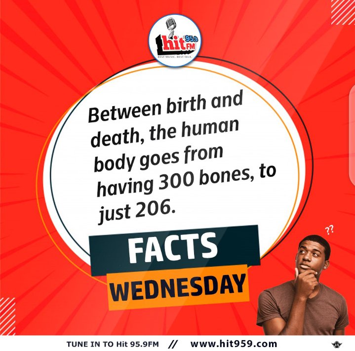 HitFMCalabar's tweet photo. Hit FM #FactsWednesday

Between birth and death, the human body goes from having 300 bones, to just 206 bones

#hitfmfactswednesday #facts https://t.co/DixuCS2Egx
