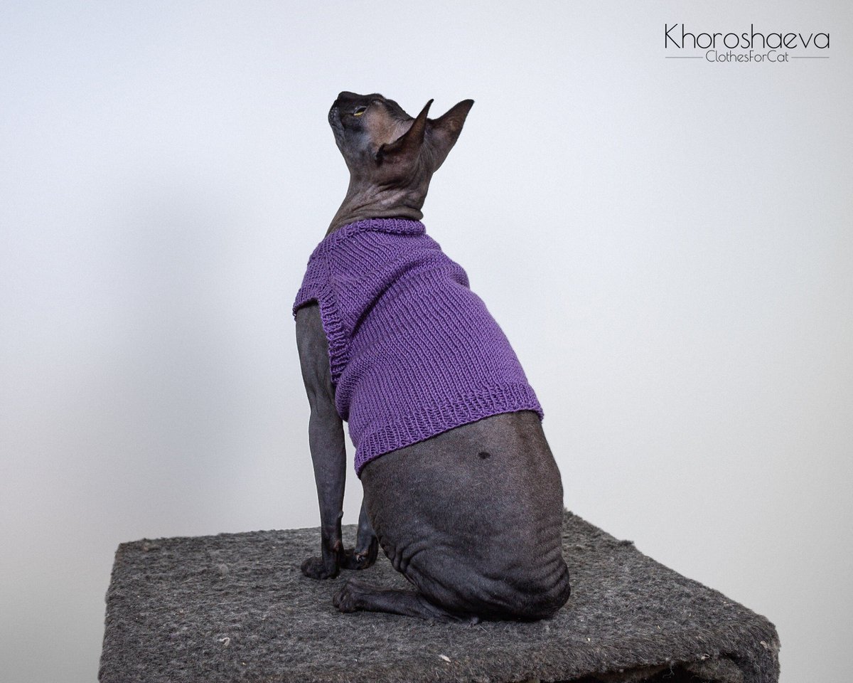 ClothesForCat's tweet photo. Excited to share the latest addition to my #etsy shop: Cat Summer Seamless Shirt Size L knitting pattern + The pattern supplement, Sphynx shirt knitting pattern PDF https://t.co/VBHC3iFnZj #birthday #halloween #knitting #catshirt #sphynxshirt #sphynxclothes #clothesfor https://t.co/9xHsdHcFMz