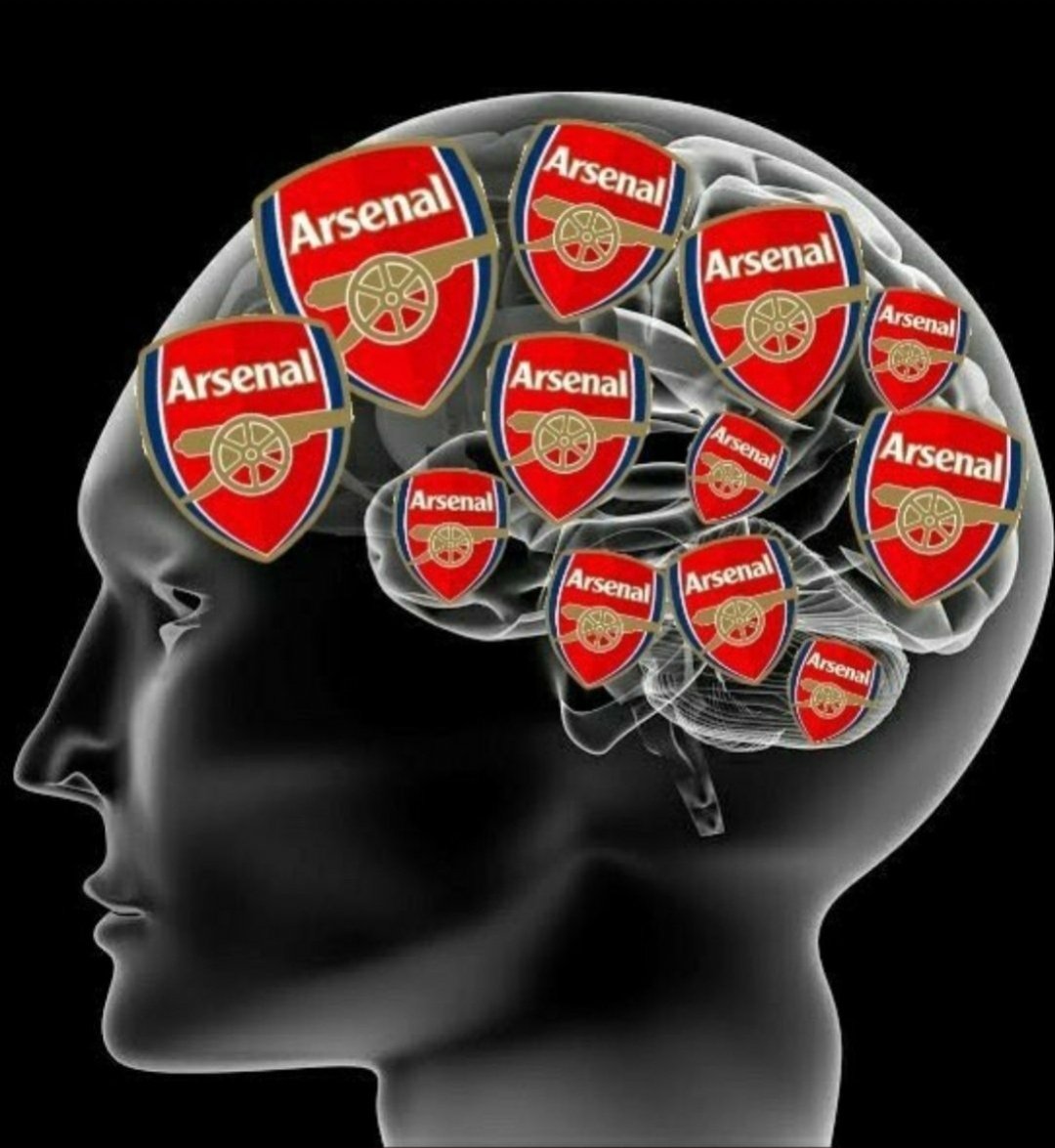 _MikelMagic's tweet photo. @JonathanG18__ @Arsenal I need to say this again...Utd fans are worse than any other PL fanbase for being obsessed with AFC. #MUnts https://t.co/vPpCCBuiSD