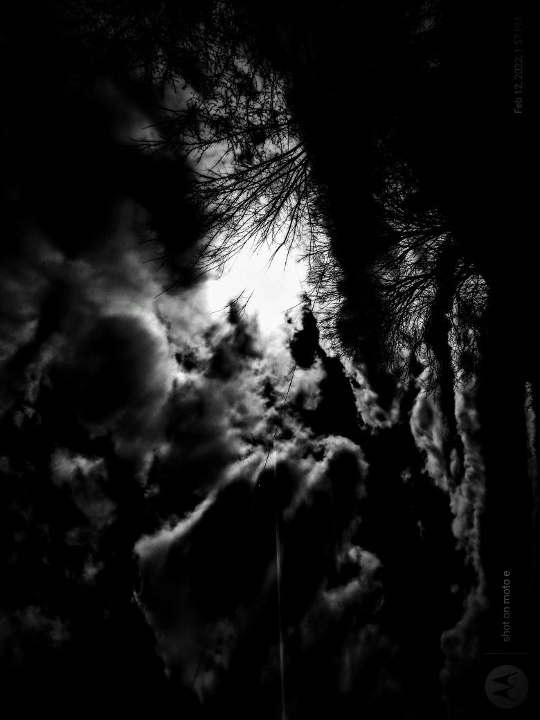 Eric Thomas (@ericthomast19) on Twitter photo 