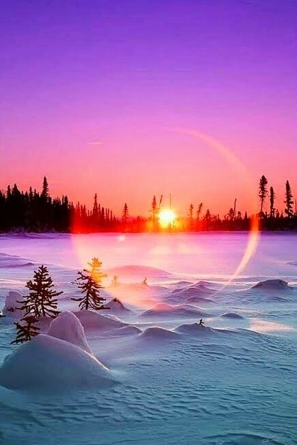 tora🐱🐾 tweet media