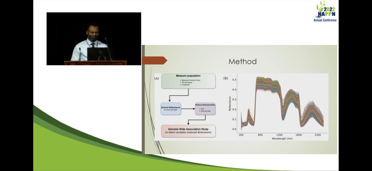 AimeValentin's tweet photo. Great talk by @tross_michael on data driven trait quantification across
a maize diversity panel using
hyperspectral leaf reflectance #NAPPN22 https://t.co/UlT6B0vAc6