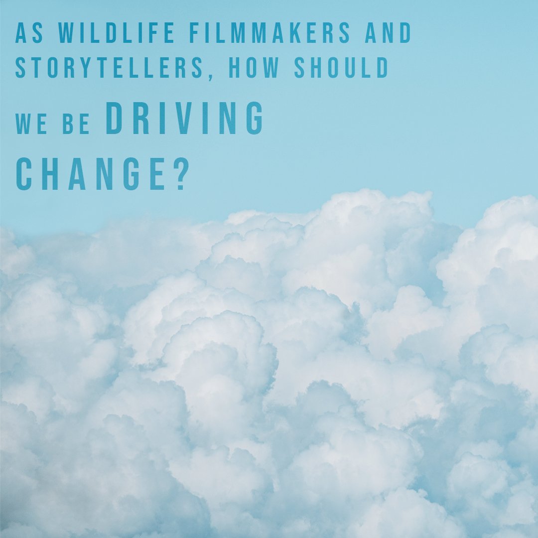 FreeborneImpact's tweet photo. Change is possible with inspiring and thought provoking stories. As wildlife filmmakers, can we bridge the gap between the scientists on the front line and the audiences who will help drive change?
🕊💫
#Change #ImpactFilmmaking #ConservationOptimism https://t.co/U4lOd1YSFx